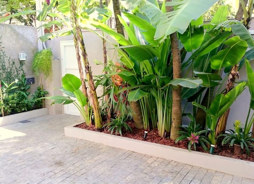 Cảnh ngoài trời Ảnh