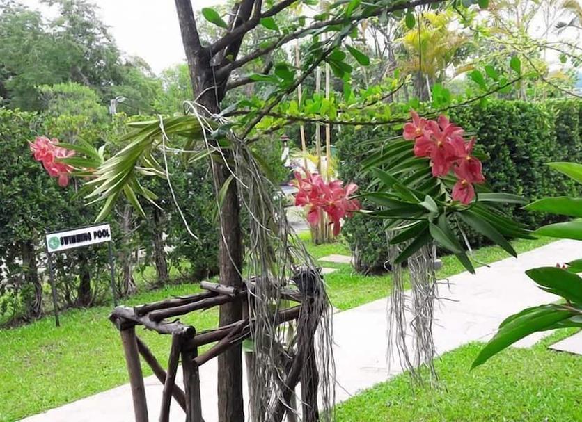Cảnh ngoài trời Ảnh