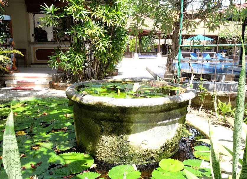 Cảnh ngoài trời Ảnh