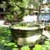 Cảnh ngoài trời