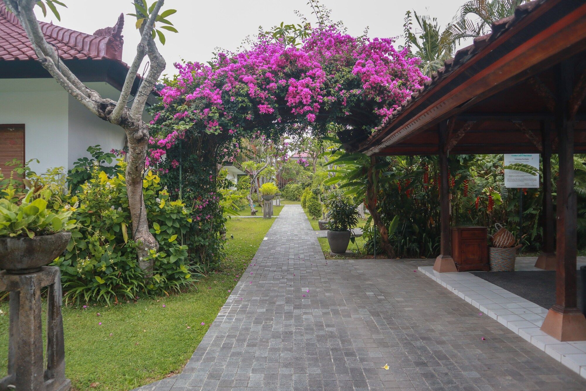 Cảnh ngoài trời