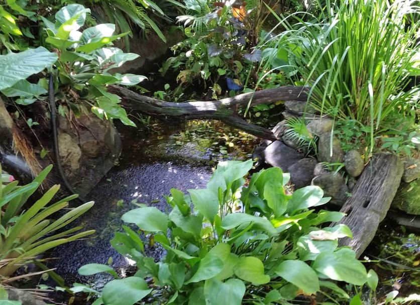 Cảnh ngoài trời Ảnh