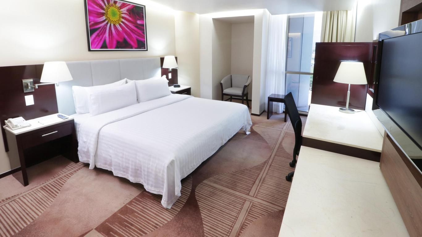 Holiday Inn Hotel & Suites Medica Sur