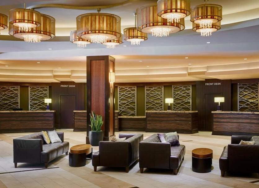 Lounge Ảnh