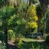 Cảnh ngoài trời