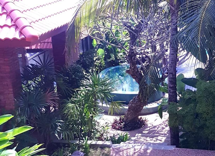 Cảnh ngoài trời Ảnh