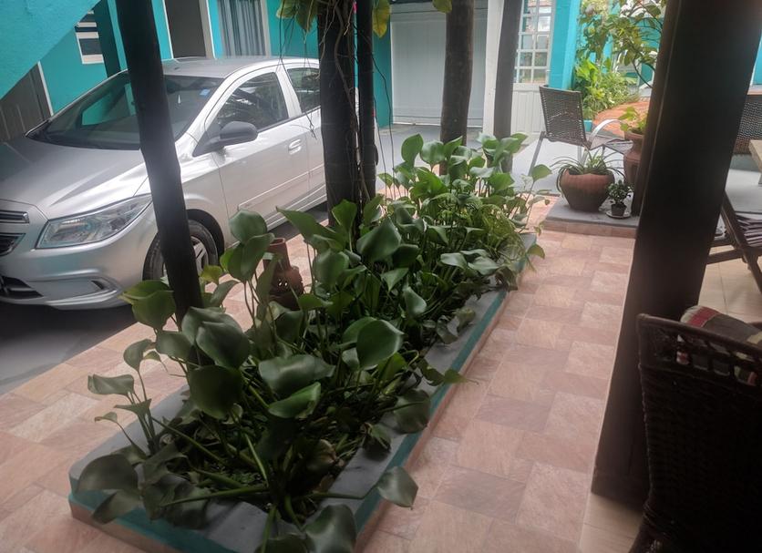 Cảnh ngoài trời Ảnh