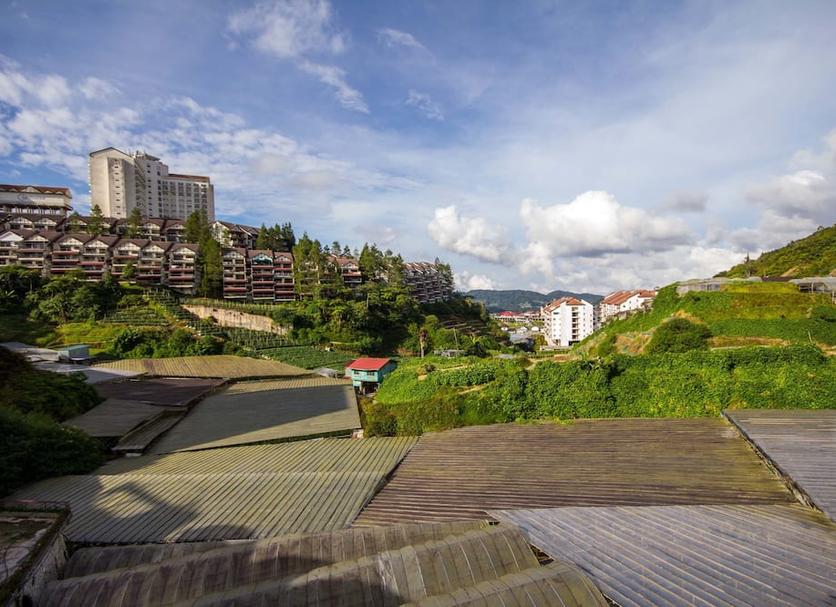Cảnh ngoài trời Ảnh