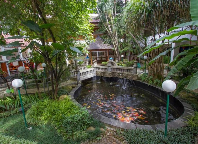 Cảnh ngoài trời Ảnh