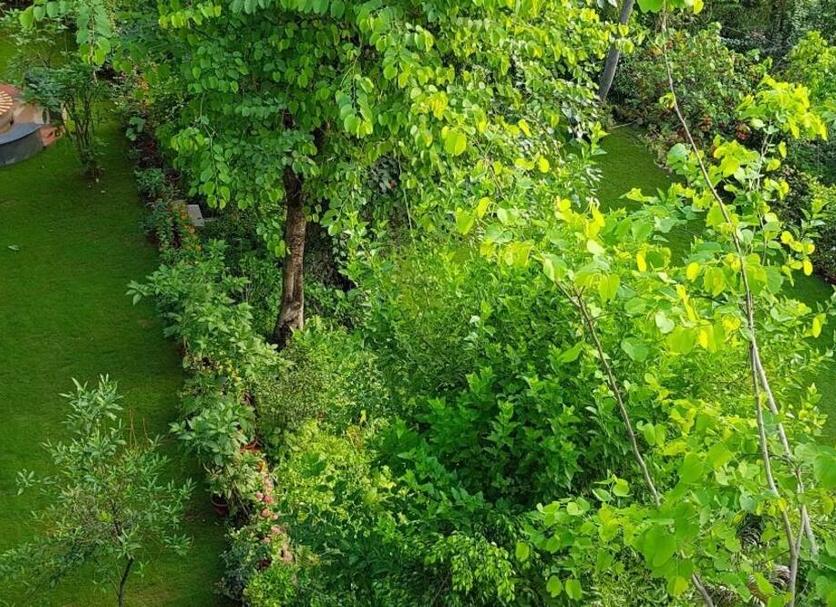 Cảnh ngoài trời Ảnh