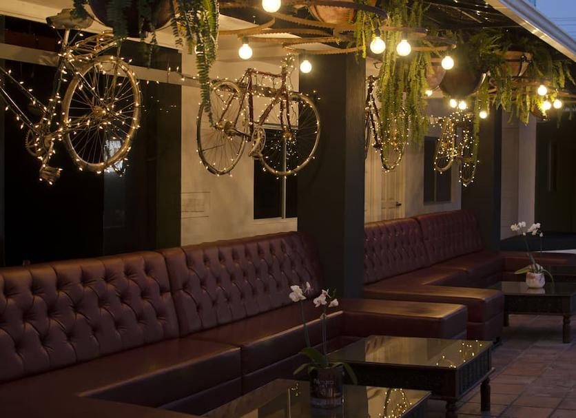 Lounge Ảnh