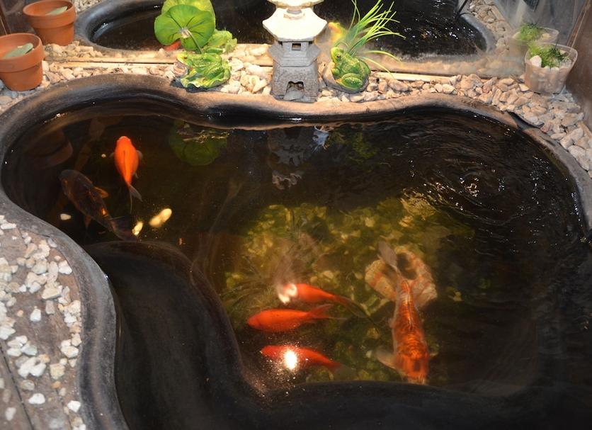 Khác Ảnh