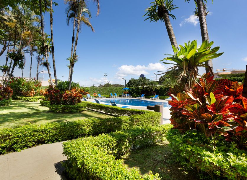 Hotel amenity Ảnh