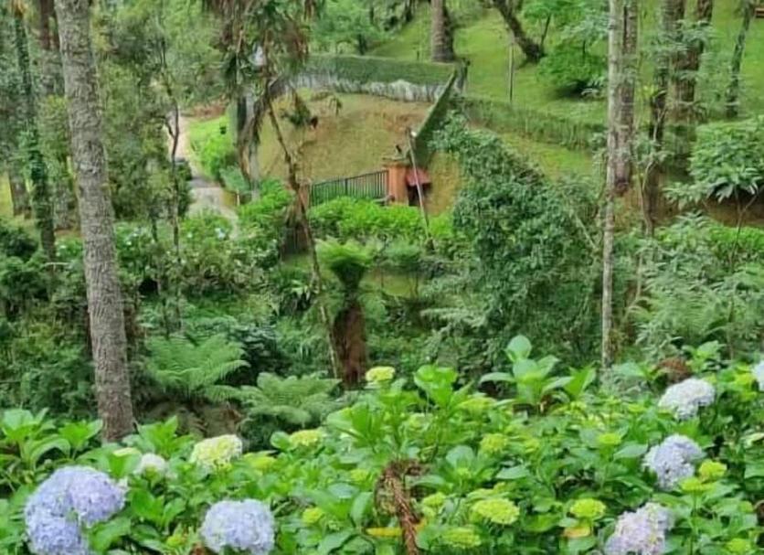 Khác Ảnh