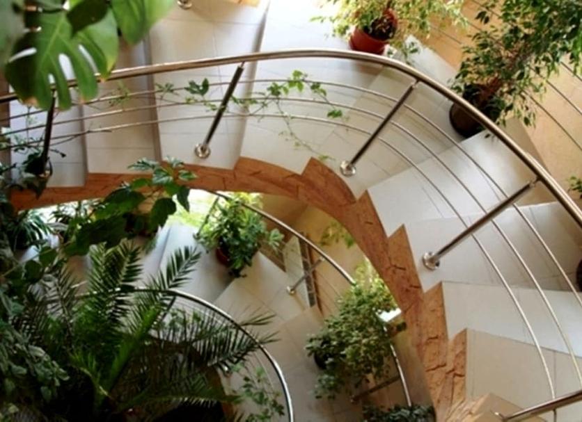 Cảnh ngoài trời Ảnh
