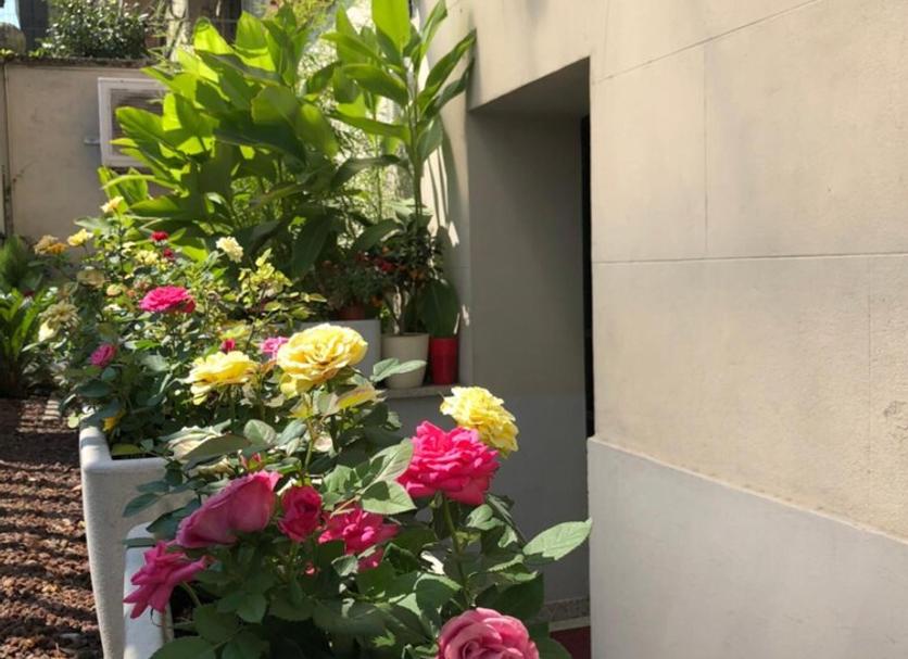 Cảnh ngoài trời Ảnh