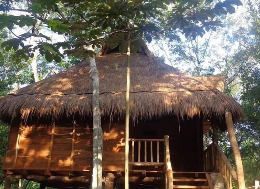 Cảnh ngoài trời Ảnh