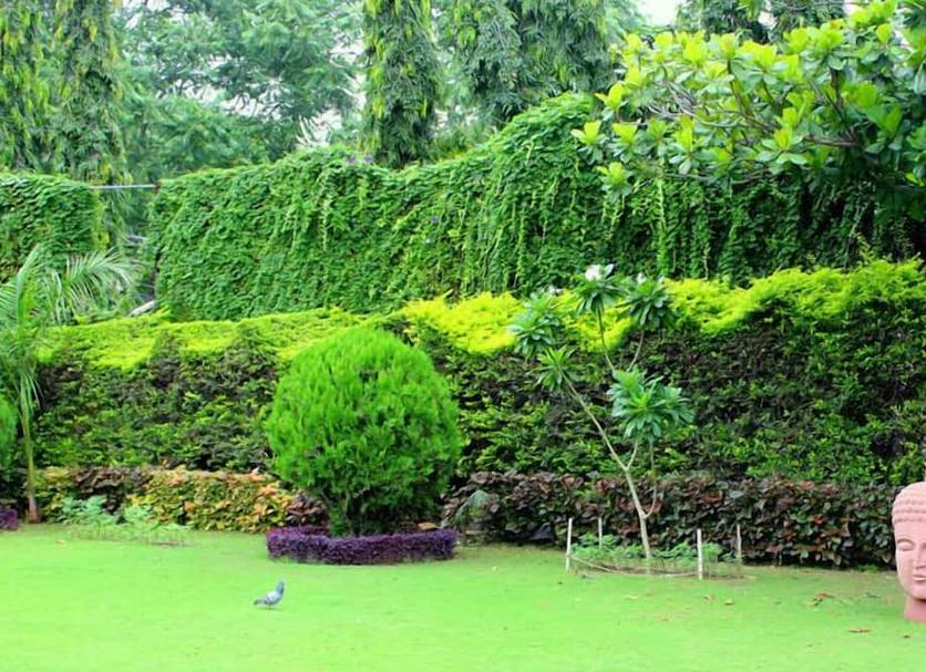 Cảnh ngoài trời Ảnh