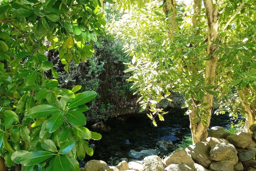 Cảnh ngoài trời