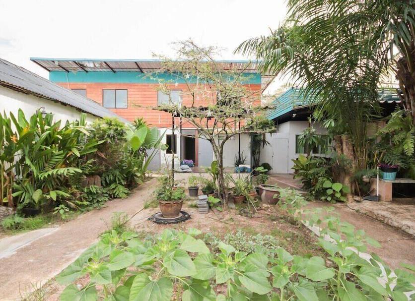 Cảnh ngoài trời Ảnh