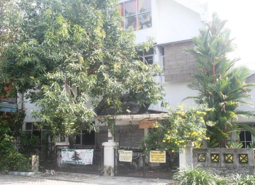 Cảnh ngoài trời Ảnh