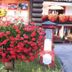 Cảnh ngoài trời