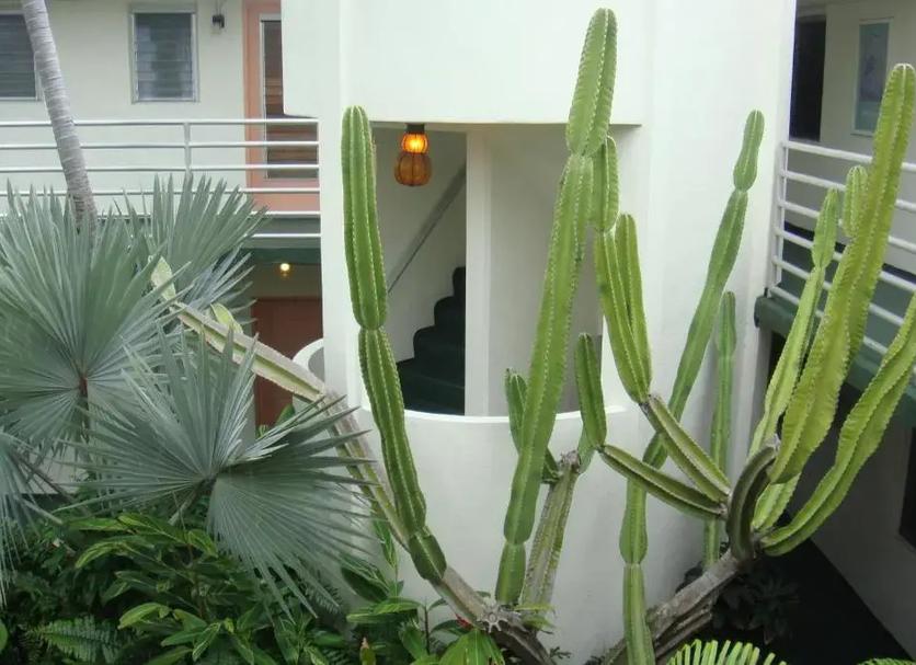 Cảnh ngoài trời Ảnh