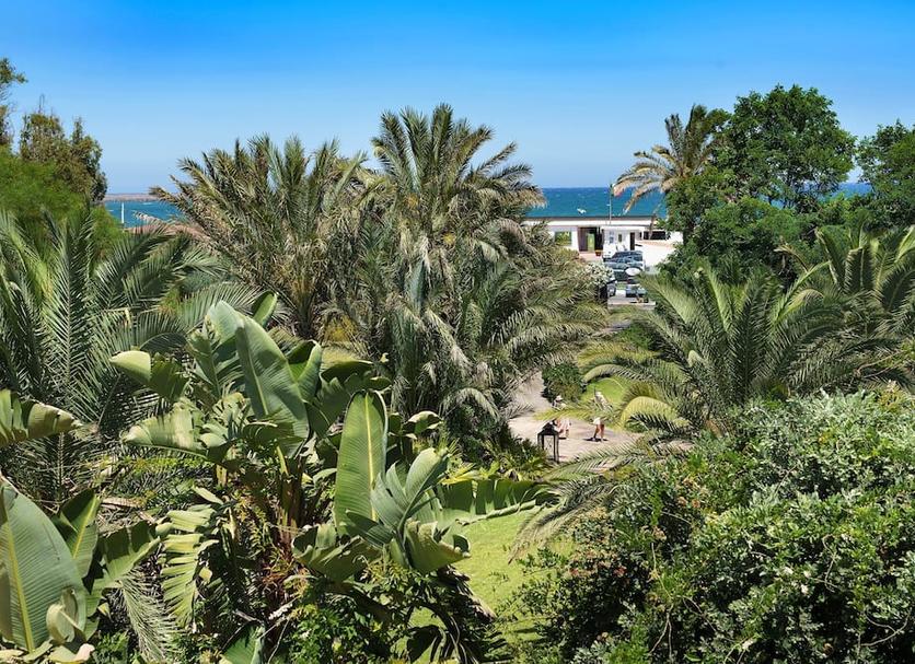 Cảnh ngoài trời Ảnh