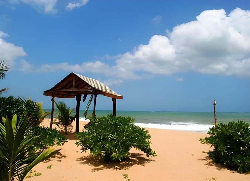 Bãi biển Ảnh