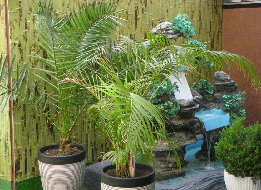 Cảnh ngoài trời Ảnh