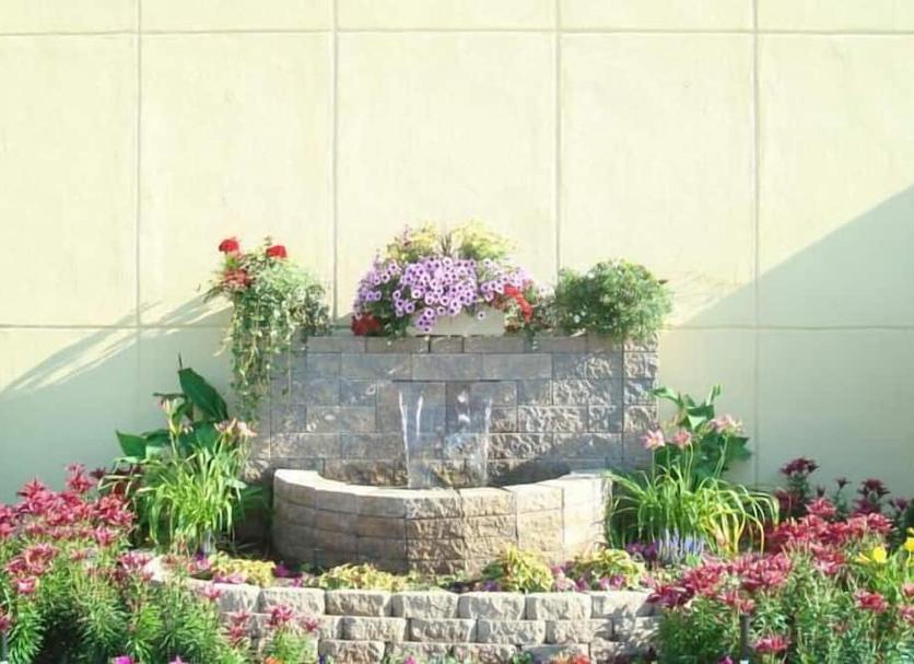 Cảnh ngoài trời Ảnh