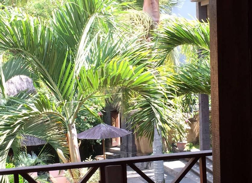 Cảnh ngoài trời Ảnh