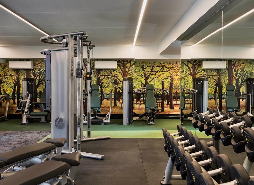 Gym Ảnh