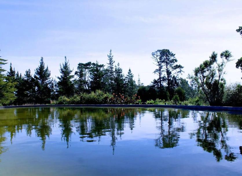 Cảnh ngoài trời Ảnh