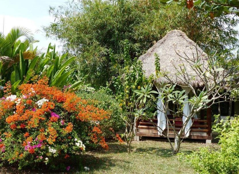 Cảnh ngoài trời Ảnh