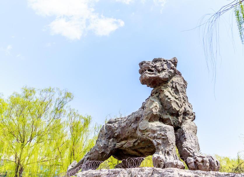 Khác Ảnh