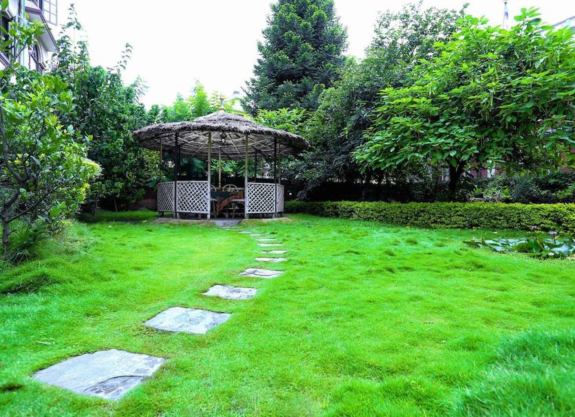 Cảnh ngoài trời Ảnh