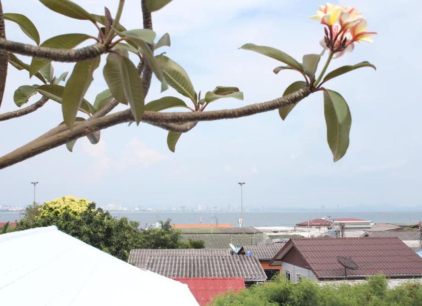Cảnh ngoài trời Ảnh