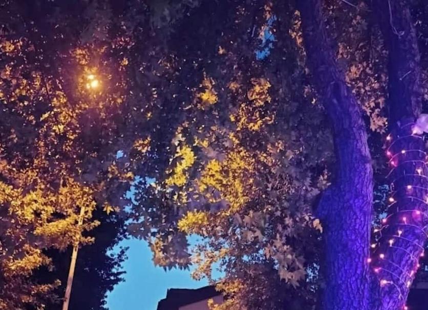 Cảnh ngoài trời Ảnh