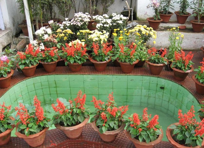 Cảnh ngoài trời Ảnh