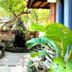 Cảnh ngoài trời