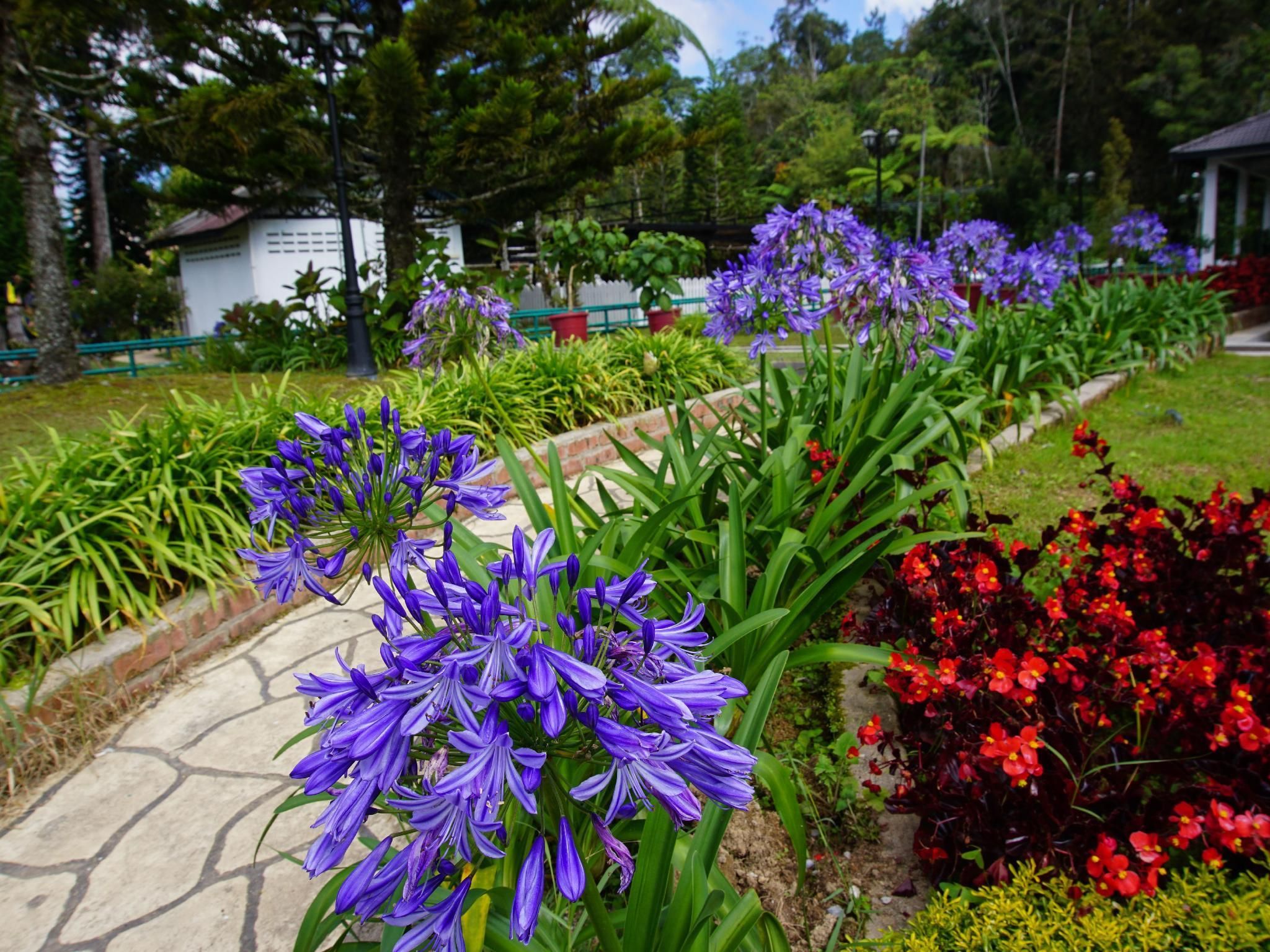 Cảnh ngoài trời