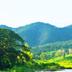Cảnh ngoài trời