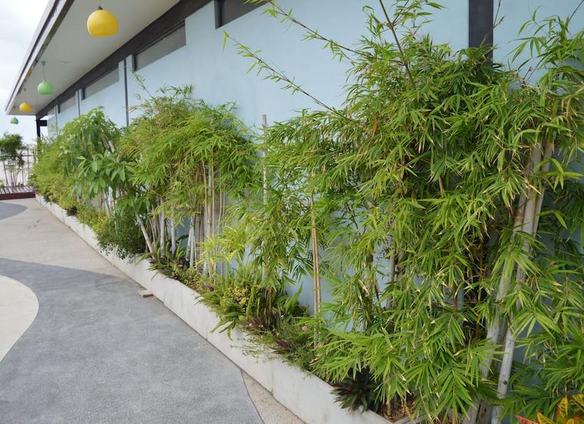 Cảnh ngoài trời Ảnh