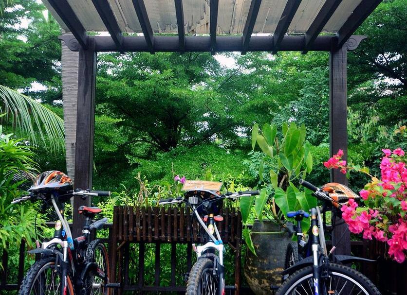 Cảnh ngoài trời Ảnh