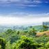 Cảnh ngoài trời