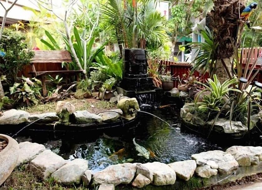 Cảnh ngoài trời Ảnh