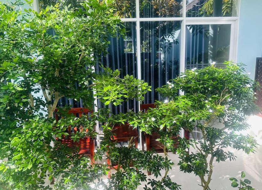 Cảnh ngoài trời Ảnh
