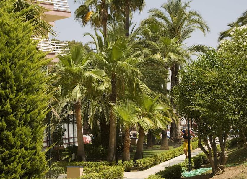 Cảnh ngoài trời Ảnh