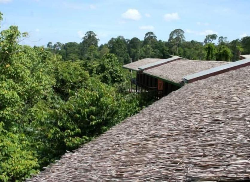 Cảnh ngoài trời Ảnh